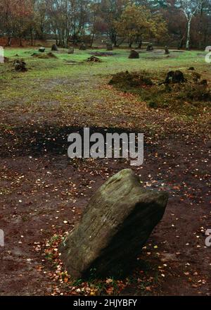 Blick auf ENE vom King Stone zum Nine Ladies Stone Circle auf Stanton Moor, Derbyshire, England, Großbritannien. Der bronzezeitliche Kreis steht innerhalb einer Bank. Stockfoto