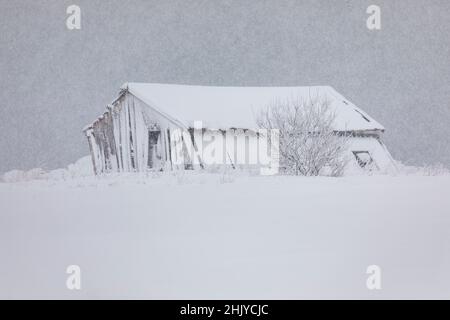 Verlassene hölzerne Fischerhütte, Lofoten-Inseln, Norwegen im Schnee. Stockfoto