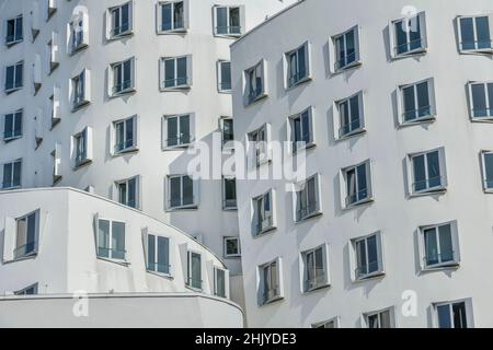 Neue Zollhof, Gebäude des Architekten Frank O. Gehry, Düsseldorf, Nordrhein-Westfalen, Deutschland Stockfoto