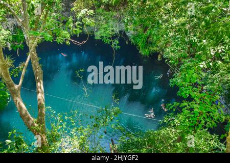 Cenote Tinum, Yucatan, Mexiko Stockfoto