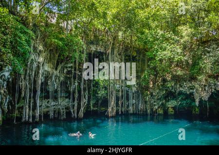 Cenote Tinum, Yucatan, Mexiko Stockfoto