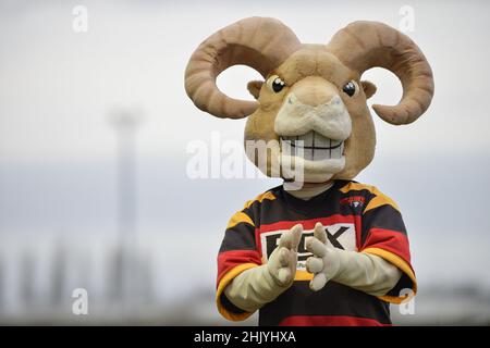 Dewsbury, England - 30. Januar 2022 - Dewsbury Mascot Roger RAM während der Rugby League Betfred Championship Runde 1 Dewsbury Rams vs Bradford Bulls im Tetley Stadium, Dewsbury, Großbritannien Dean Williams Stockfoto