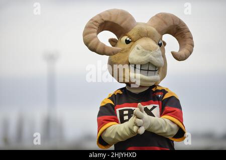 Dewsbury, England - 30. Januar 2022 - Dewsbury Mascot Roger RAM während der Rugby League Betfred Championship Runde 1 Dewsbury Rams vs Bradford Bulls im Tetley Stadium, Dewsbury, Großbritannien Dean Williams Stockfoto