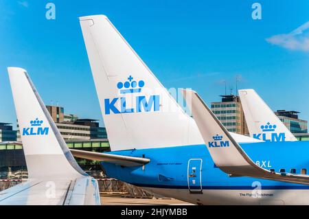 KLM-Logo auf Winglets der Boeing 737s am internationalen Flughafen Schiphol, Amsterdam, Niederlande Stockfoto