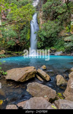 Catarata La Cangreja - Versteckte Wasserfall umgeben von grünen Bäumen, Vegetation, Felsen, Blättern, die auf grünem und klarem Wasser schwimmen, Rincon de la Vieja Nat Stockfoto