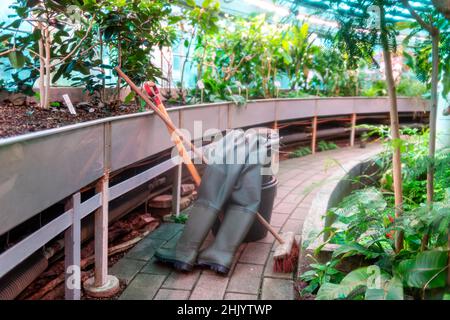 Botanischer Garten Kopenhagen Dänemark während eines Feiertags in der Nebensaison Stockfoto