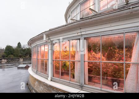 Botanischer Garten Kopenhagen Dänemark während eines Feiertags in der Nebensaison Stockfoto