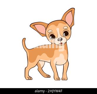 Kleiner witziger chihuahua Hund mit großen Ohren steht auf dünnen Pfoten. Vektorgrafik im Cartoon-Stil, schwarz-weiße Linie Stock Vektor