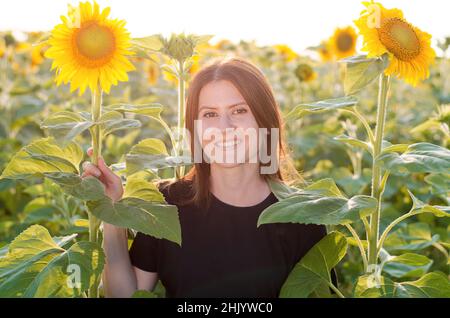 Schöne junge Frau in einem Feld von Sonnenblumen. Eine junge Frau steht unter den Sonnenblumen und lächelt. Stockfoto