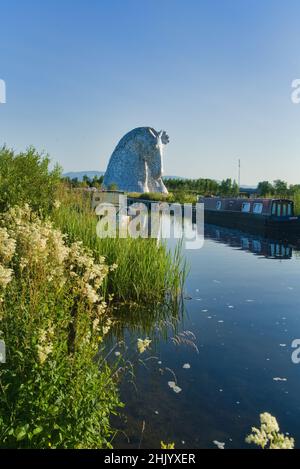 Die Kelpies mit hellen und bunten wilden Blumen am Forth und Clyde Canal Ufer. Helix Public Park, Falkirk, Stirlingshire, Central, Schottland, VEREINIGTES KÖNIGREICH. Stockfoto