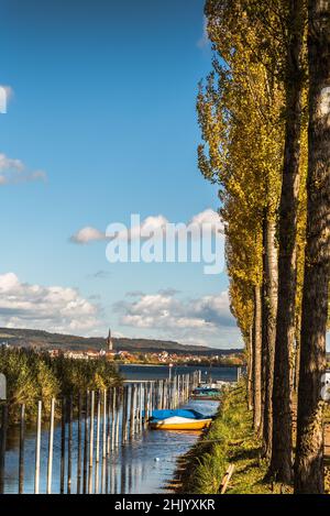 Hafen in Moos am Bodensee, im Hintergrund die Stadt Radolfzell, Landkreis Konstanz, Baden-Württemberg, Deutschland Stockfoto