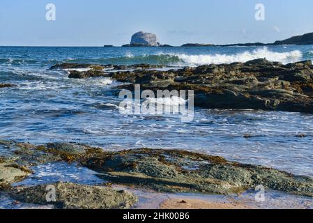 North Berwick Beach, Blick nach Osten über Bass Rock, Blick auf das Meer über die Flussmündung des Forth, Herbstsonne. East Lothian, Schottland, großbritannien Stockfoto