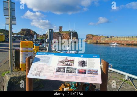 Blick nach Westen über Dunbar Harbour zu den alten historischen Burgruinen. Informationstafel, Tafel, East Lothian, Schottland, Großbritannien Stockfoto