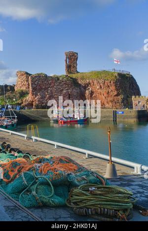 Blick nach Westen über Dunbar Harbour zu den alten historischen Burgruinen. Schöner klarer Tag. Bunte Fischerboote. East Lothian, Schottland, Großbritannien Stockfoto