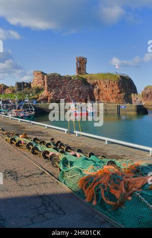 Blick nach Westen über Dunbar Harbour zu den alten historischen Burgruinen. Schöner klarer Tag. Bunte Fischerboote. East Lothian, Schottland, Großbritannien Stockfoto