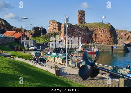 Blick nach Westen über Dunbar Harbour zu den alten historischen Burgruinen. Schöner klarer Tag. Bunte Fischerboote. East Lothian, Schottland, Großbritannien Stockfoto