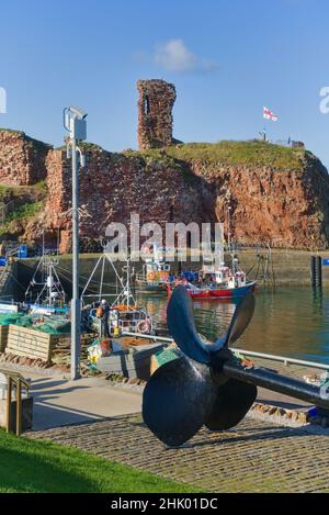 Blick nach Westen über Dunbar Harbour zu den alten historischen Burgruinen. Schöner klarer Tag. Bunte Fischerboote. East Lothian, Schottland, Großbritannien Stockfoto