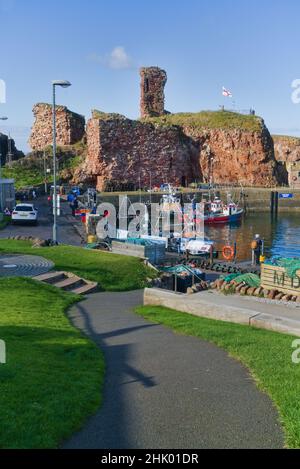 Blick nach Westen über Dunbar Harbour zu den alten historischen Burgruinen. Schöner klarer Tag. Bunte Fischerboote. East Lothian, Schottland, Großbritannien Stockfoto