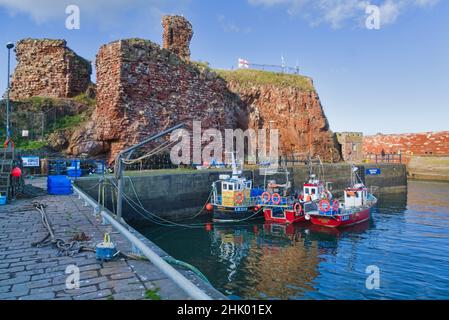 Blick nach Westen über Dunbar Harbour zu den alten historischen Burgruinen. Schöner klarer Tag. Bunte Fischerboote. Netze. East Lothian, Schottland, Großbritannien Stockfoto