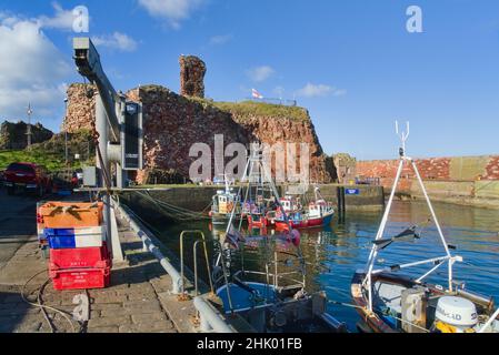 Blick nach Westen über Dunbar Harbour zu den alten historischen Burgruinen. Schöner klarer Tag. East Lothian, Schottland, Großbritannien Stockfoto