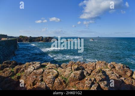 Blick Richtung Westen entlang der Forth Estuary vom Dunbar Harbour Area - The Lamer Battery. East Lothian, Schottland, Großbritannien Stockfoto