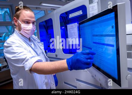 Greifswald, Deutschland. 01st. Februar 2022. Gerrit Hagen Greiser präsentiert eine der automatisierten Maschinen zur Auswertung von Proben aus Corona-Testzentren im PCR-Labor der Universitätsmedizin. In den letzten zwei Jahren wurden in den Laboren des Friedrich-Löffler-Instituts für Medizinische Mikrobiologie über 170.000 Proben auf Coronavirus getestet. Täglich werden zwischen 350 und 700 neue PCR-Tests durchgeführt. Quelle: Jens Büttner/dpa-Zentralbild/dpa/Alamy Live News Stockfoto