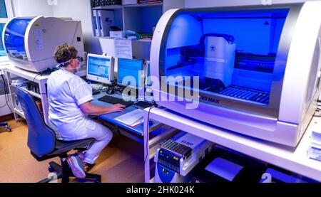 Greifswald, Deutschland. 01st. Februar 2022. Die medizintechnische Assistentin Christin Zawadzinski überprüft die Ergebnisse von Proben der blau beleuchteten automatisierten Maschine im PCR-Labor des Universitätsklinikums. In den letzten zwei Jahren wurden in den Laboren des Friedrich-Löffler-Instituts für Medizinische Mikrobiologie über 170.000 Proben auf Coronavirus getestet. Täglich werden zwischen 350 und 700 neue PCR-Tests durchgeführt. Quelle: Jens Büttner/dpa-Zentralbild/dpa/Alamy Live News Stockfoto