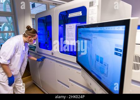 Greifswald, Deutschland. 01st. Februar 2022. Gerrit Hagen Greiser präsentiert eine der automatisierten Maschinen zur Auswertung von Proben aus Corona-Testzentren im PCR-Labor der Universitätsmedizin. In den letzten zwei Jahren wurden in den Laboren des Friedrich-Löffler-Instituts für Medizinische Mikrobiologie über 170.000 Proben auf Coronavirus getestet. Täglich werden zwischen 350 und 700 neue PCR-Tests durchgeführt. Quelle: Jens Büttner/dpa-Zentralbild/dpa/Alamy Live News Stockfoto