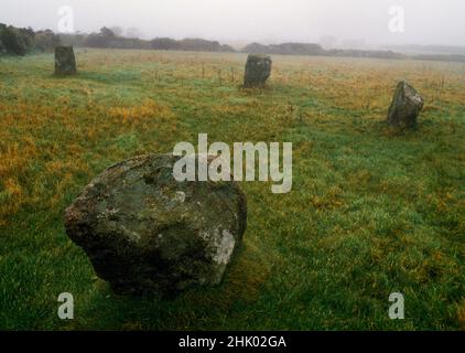 Ansicht E von vier der verbleibenden fünf Steine des Steinkreises Wendron South (neun Mädchen), SSW von Redruth, Cornwall, England, Großbritannien. Es gab einmal ein Paar Stockfoto