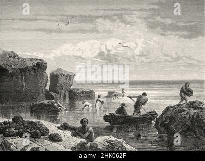 Schwämme Fischer, Florida, Vereinigte Staaten von Amerika. Alte, 19th. Jahrhundert gravierte Illustration von vier Monaten in Florida von Achille Poussielgue, Le Tour du Monde 1870 Stockfoto