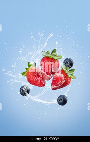 Fliegende Erdbeere mit Wasserspritzern isoliert auf blauem Schwarzboden. Vertikales Format. Schwerkraft-Konzept. Stockfoto