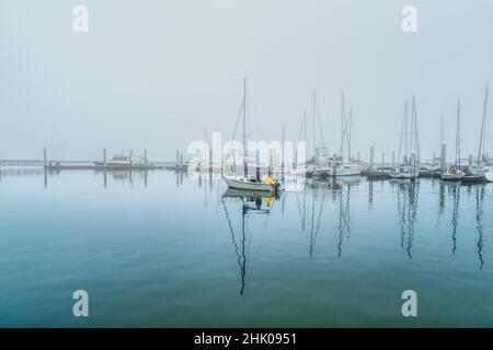 Nebliger Tag an der Corpus Christi Municipal Marina in Texas Stockfoto
