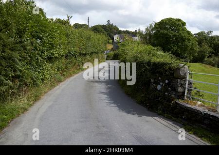 Hohe Hecken säumen kleine Straße durch Little langdale Lake District, cumbria, england, großbritannien Stockfoto