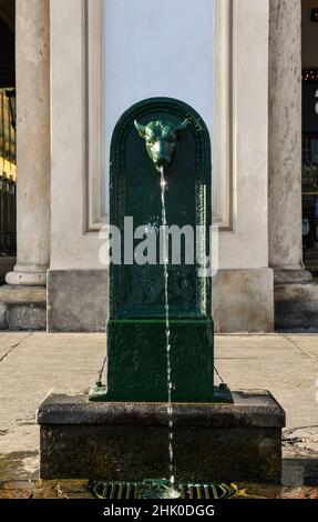 Ein typischer öffentlicher Brunnen, genannt "Toret", das ist "kleiner Stier", einer der Symbole von Turin, auf der Piazza San Carlo, Piemont, Italien Stockfoto