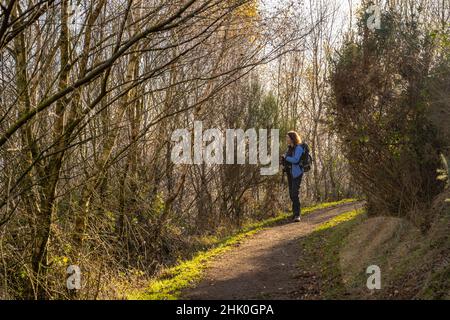 Walker in den Wäldern oberhalb von Malvern in den Malvern Hills Stockfoto