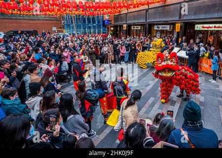 London, Großbritannien. 1st. Februar 2022. Die Feierlichkeiten zum chinesischen Neujahr werden auch in diesem Jahr aufgrund der Omicron-Variante von Covid 19 gedämpft. Damit beginnt das Jahr des Tigers. Kredit: Guy Bell/Alamy Live Nachrichten Stockfoto