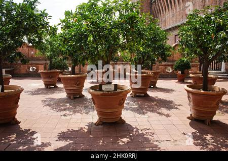 Der Orangengarten im berühmten Schloss Estense (Castello Estense) von Ferrara (UNESCO) Stockfoto