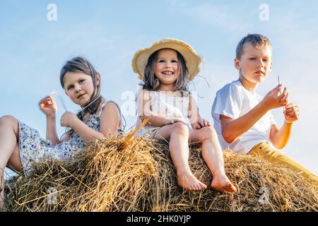 Porträt von drei Jungen und zwei Mädchen, die auf dem Heuhaufen im Sommerfeld sitzen. Leichter, sonniger Tag. Fröhlich und genießen Konzept. Niedriger Winkel. Blauer Himmel auf dem Rücken Stockfoto