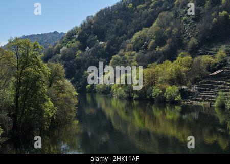 Frühlingslandschaft in Ribeira Sacra, Galicien, Spanien Stockfoto