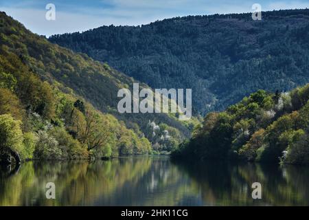 Frühlingslandschaft in Ribeira Sacra, Galicien, Spanien Stockfoto