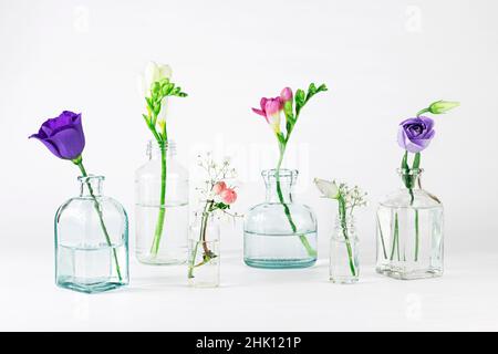 Schöne Sommer- und Frühlingsblumen in unterschiedlich großen Glasvasen auf weißem Hintergrund. Stockfoto