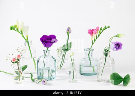 Schöne Sommer- und Frühlingsblumen in unterschiedlich großen Glasvasen auf weißem Hintergrund. Stockfoto