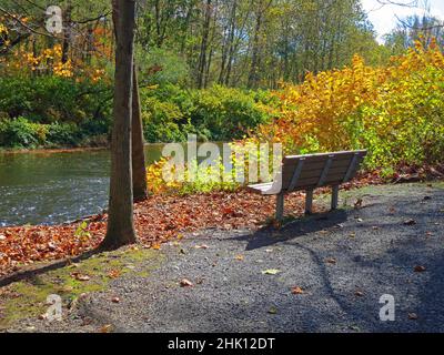 Brodhead Creek, im Herbst mit leerer Bank, ist ein 21,9 Meilen langer Nebenfluss des Delaware River in den Poconos im Osten von Pennsylvania in den USA. Stockfoto