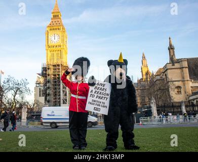 LONDON, 31 2022. JANUAR, PETAs „Bär“ vor den Häusern des parlaments als eine Kampagne, die das Verteidigungsministerium dazu drängen sollte, die Queen's Guard mit echten Bärenfellkappen fallen zu lassen Stockfoto