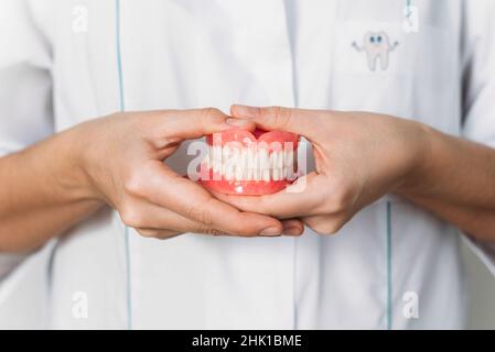 Der orthopädische Zahnarzt hält Prothesen in den Händen. Zahnprothese in den Händen des Arztes. Vorderansicht der kompletten Prothese. Zahnarztkonz Stockfoto