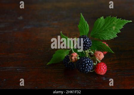blackberry-Früchte und -Blätter aus nächster Nähe auf Holzgrund. Herbstfrüchte schließen sich bei natürlichem Licht an. Stockfoto