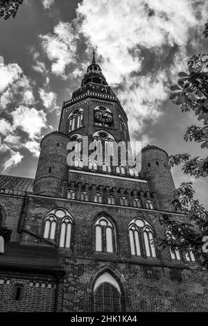 St. Nikolaus Evangelische Kirche. Hauptkirche und Sitz des Bischofs der Evangelischen Kirche Pommern. Greifswald. Deutschland. Schwarz und Weiß. Stockfoto