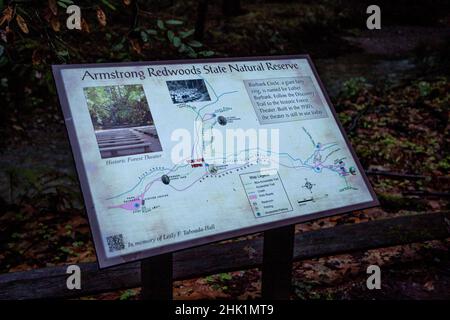Armstrong Redwoods ist ein kleiner Stand von Redwood-Bäumen im Norden von Guerneville, Kalifornien. Stockfoto