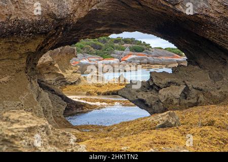 Meeresbogen in Port Davies, Flinders Island Stockfoto
