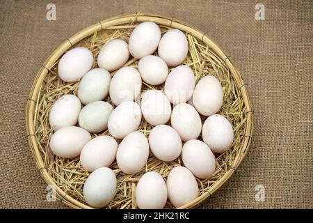 Rohe Bio-Whhite-Eier im Weidenkorb Stockfoto